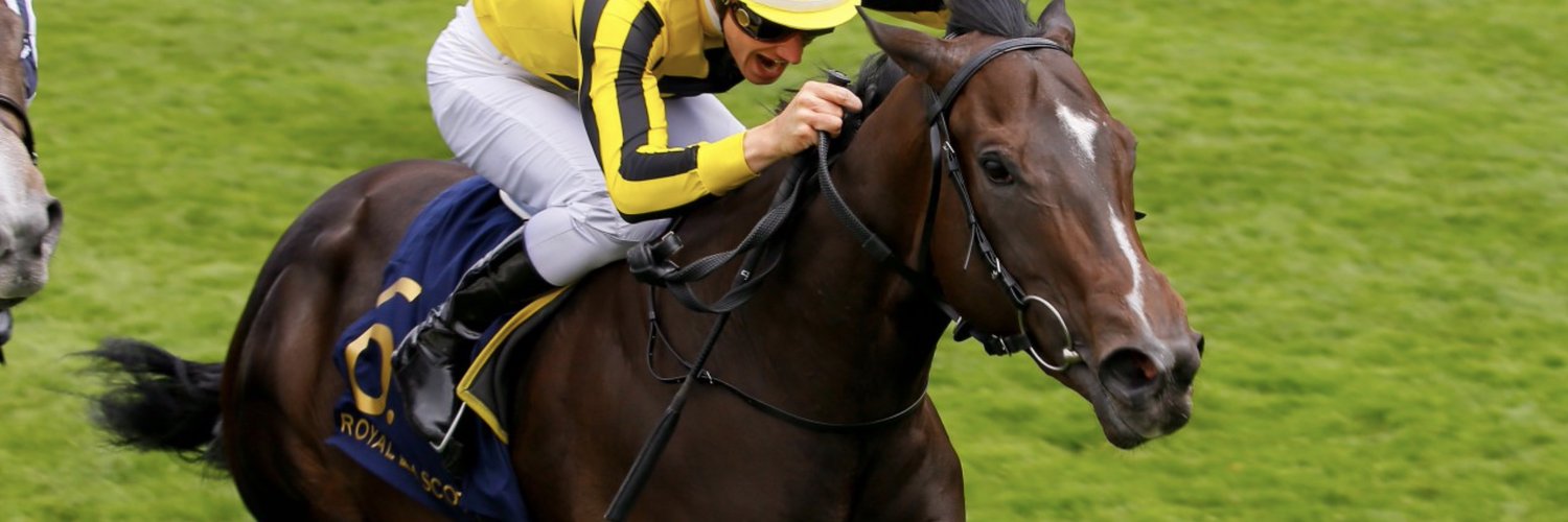 Bansha House Stables Profile Banner