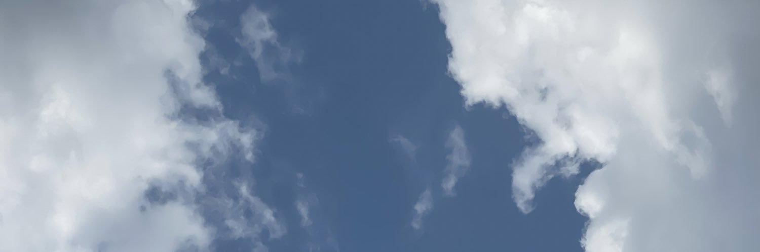 hoemnipotent's profile banner image