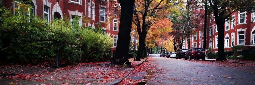 Scott Nguyen 🏖️ banner