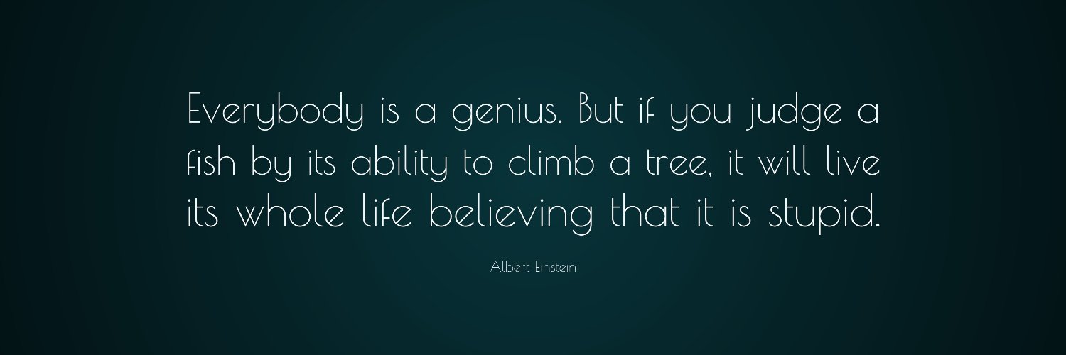 Rachelle Bernier banner