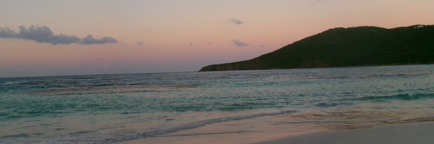 alanisvferrer's profile banner image