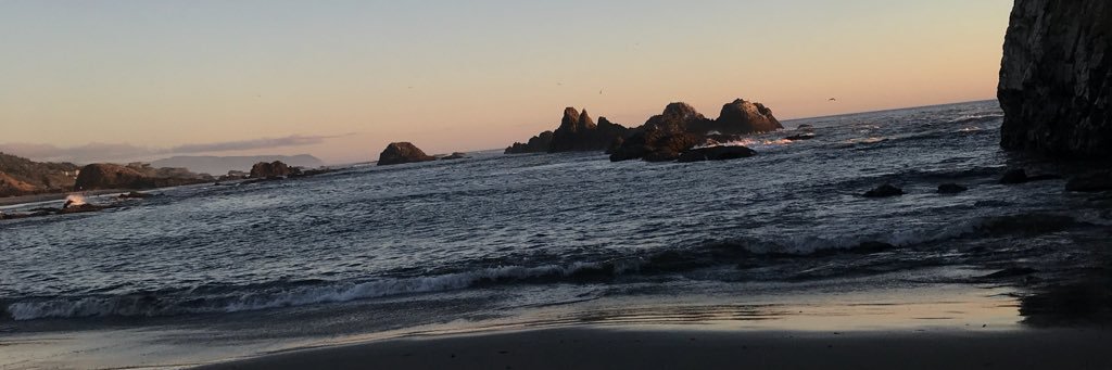 beverlyngarza's profile banner image