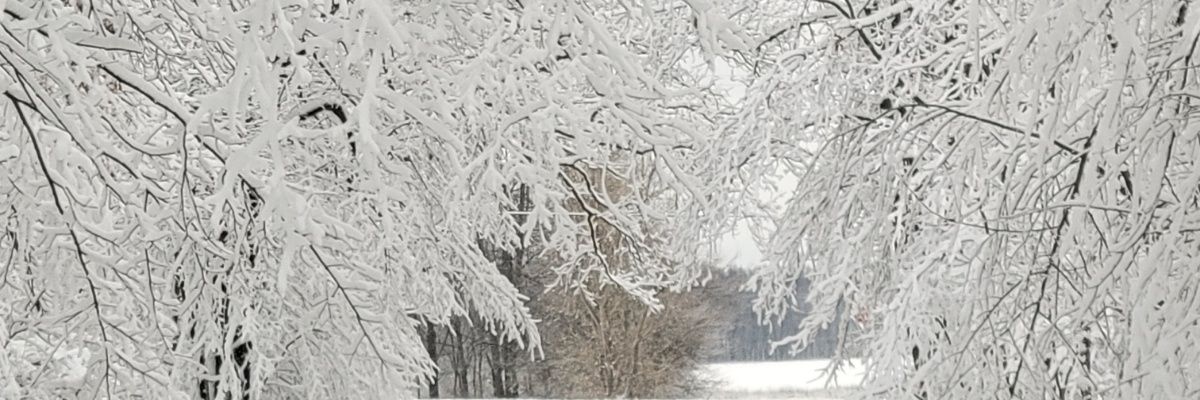 Kathi6541's profile banner image