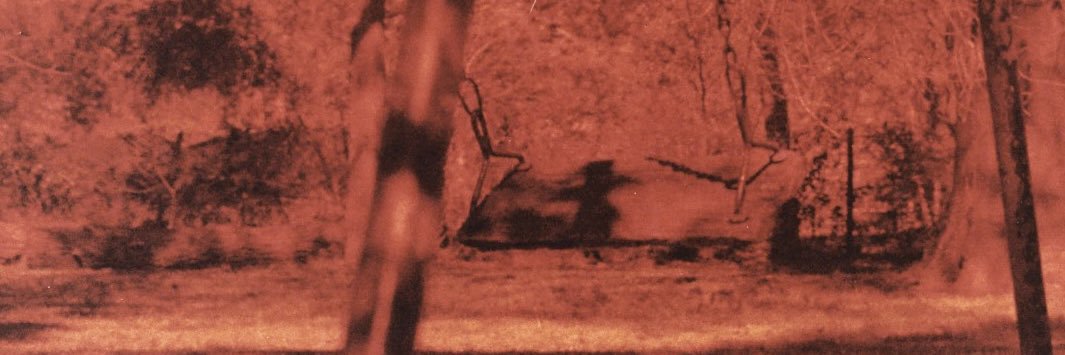 lmrsca's profile banner image