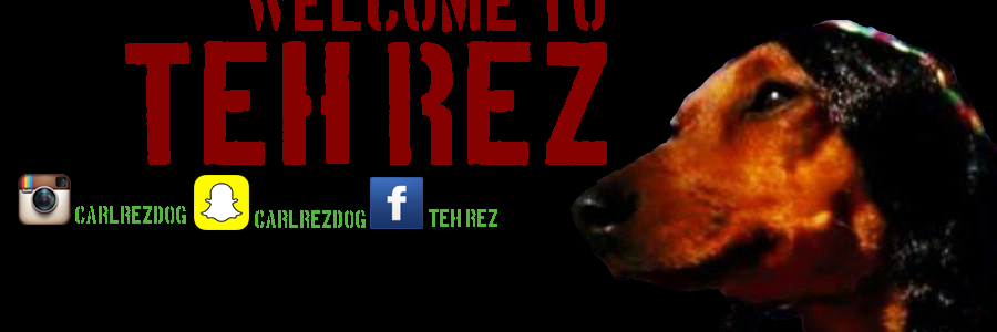 TehReZDoG's profile banner image