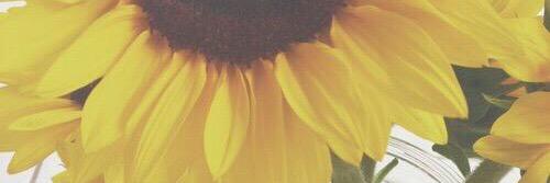 JessicaLGates's profile banner image