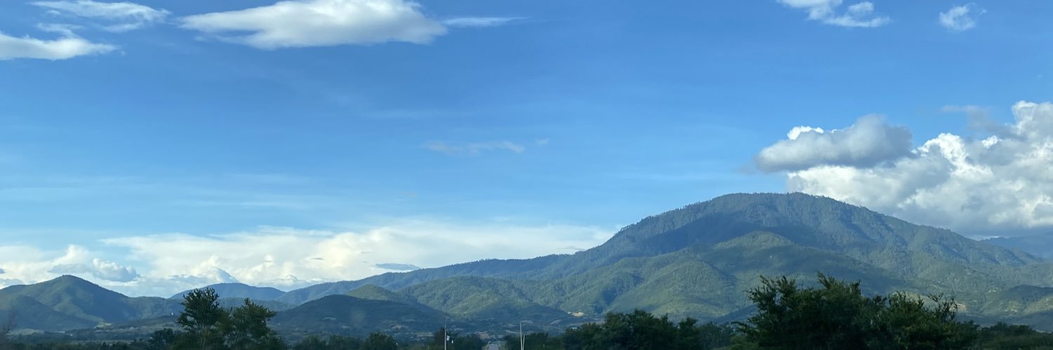 daniela_paleta's profile banner image