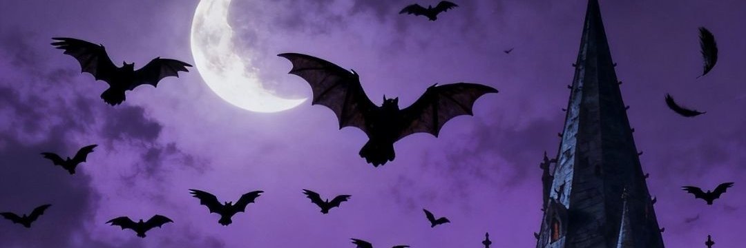 itspietrinhak's profile banner image