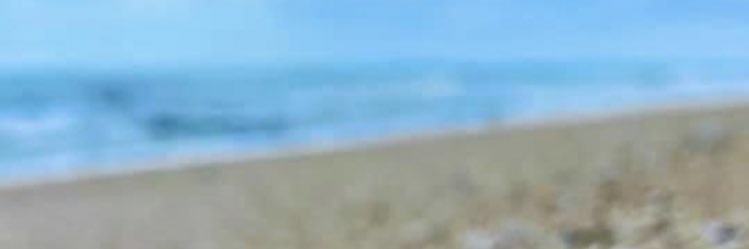 AmyFuchs2's profile banner image