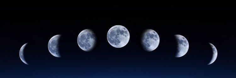 pnimm4's profile banner image