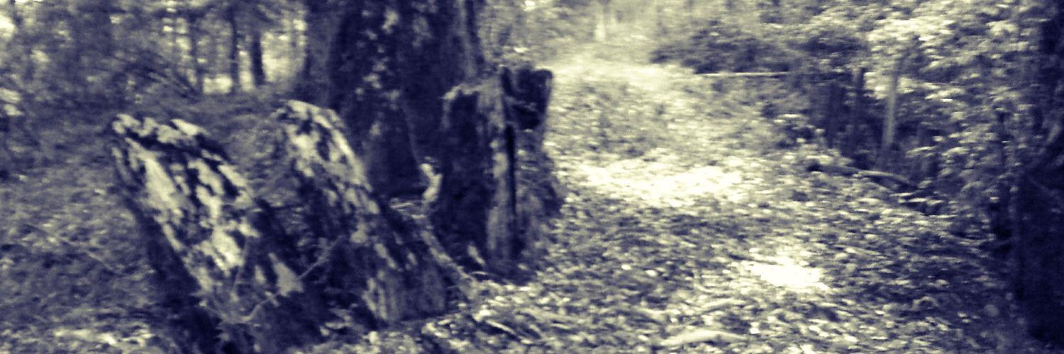 ilgalaverna's profile banner image