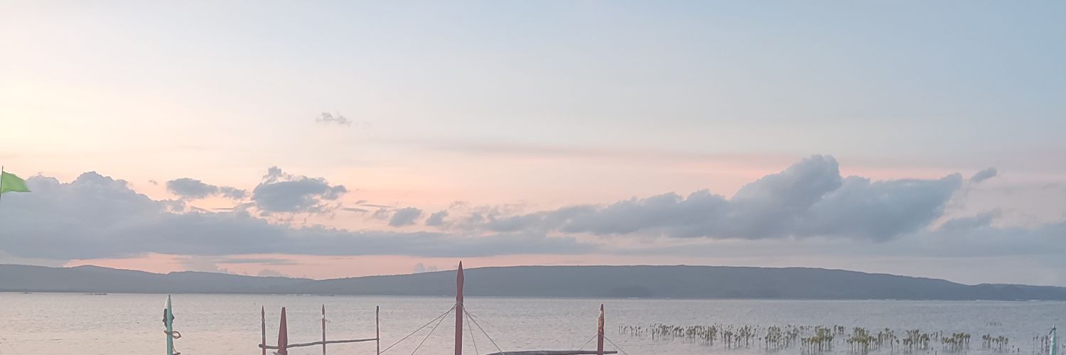 baeemila's profile banner image