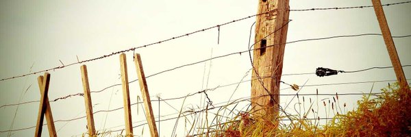 rnbarawy Profile Banner