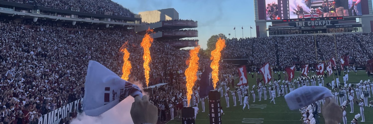 bertandernieman's profile banner image