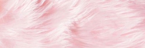 Just_Sprinkle's profile banner image