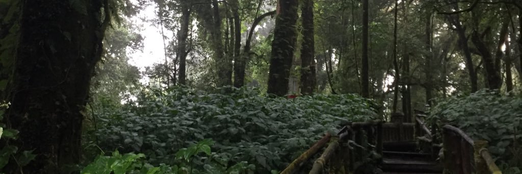 planetofpluto's profile banner image