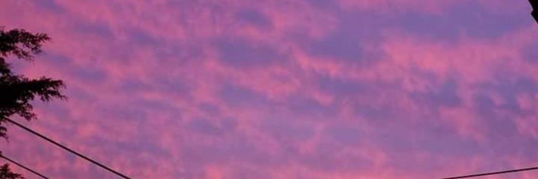 This_jpeg's profile banner image