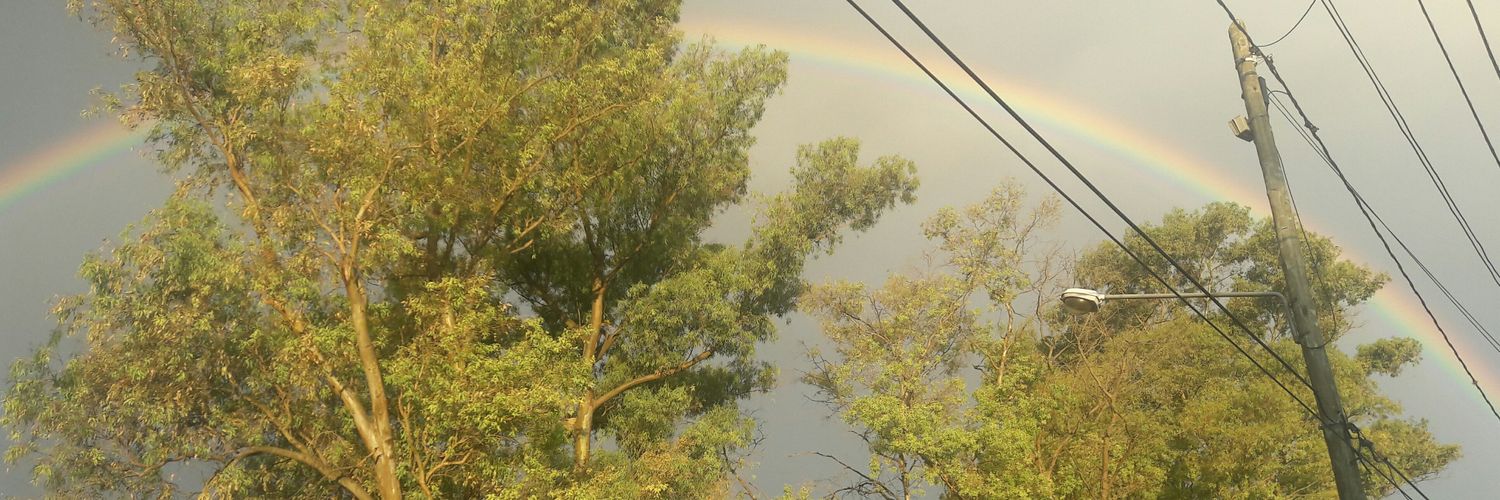 ANTITODOOOO's profile banner image