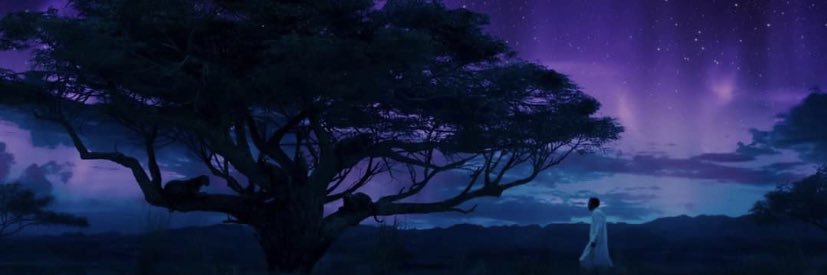 RealTigerWells's profile banner image