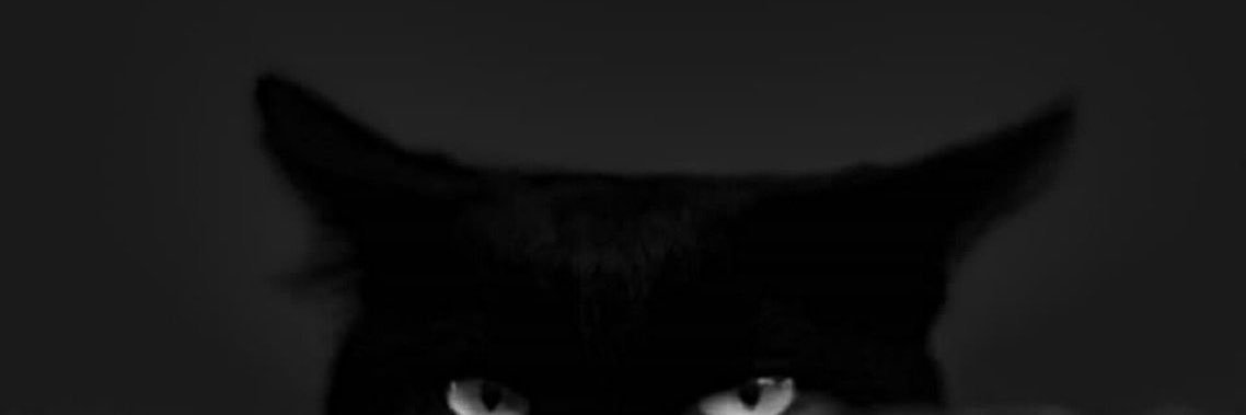 cutpoa's profile banner image