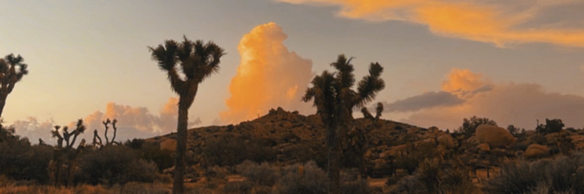 Markie Leigh banner