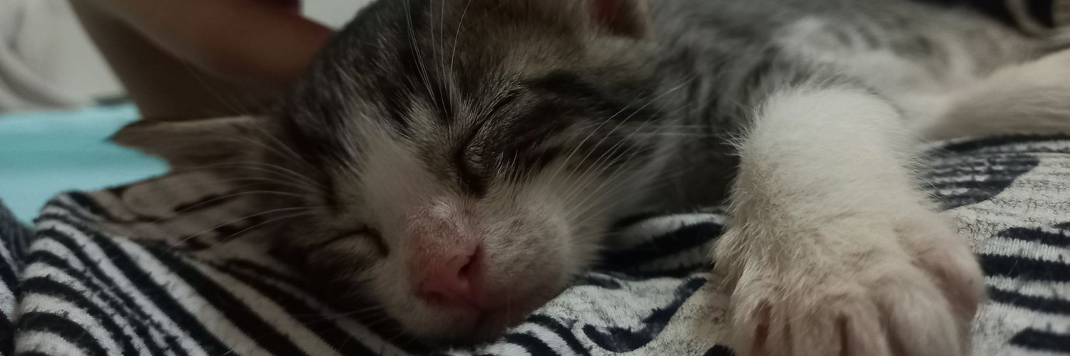 TomiiizC's profile banner image