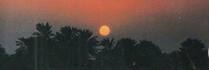 gone banner