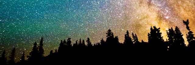 EricaJTripp's profile banner image