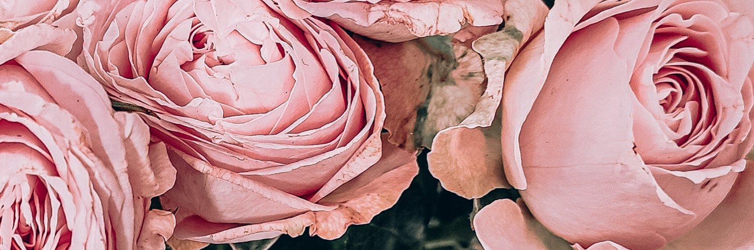 jrdaneve's profile banner image