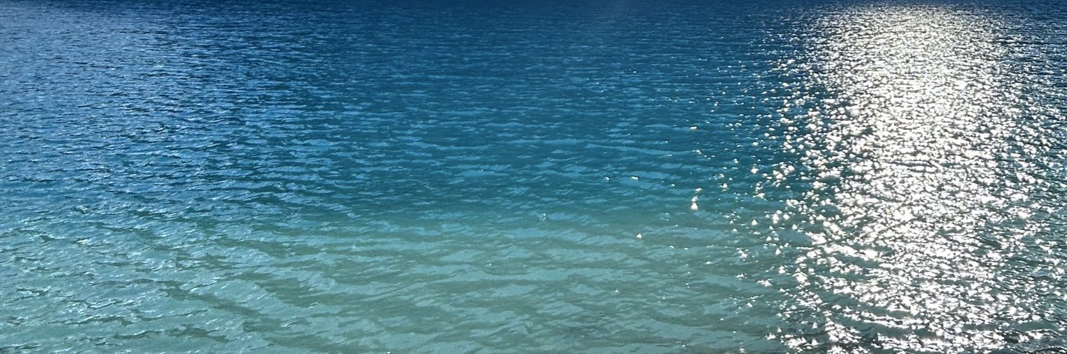 SofiSzu's profile banner image