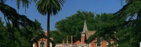 DavidNelson_99's profile banner image