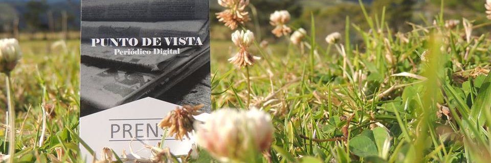 infodevista's profile banner image