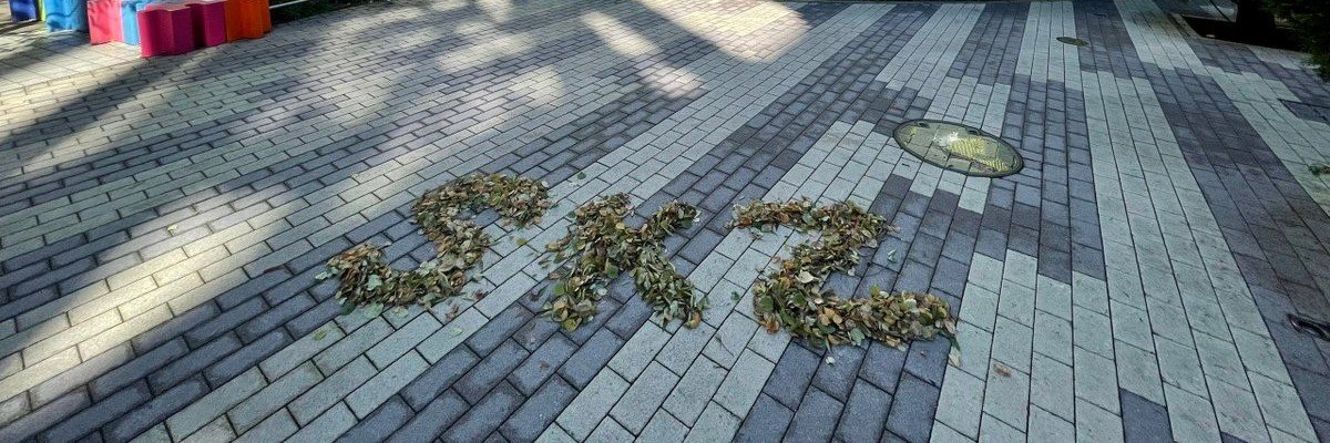zooooo_123's profile banner image