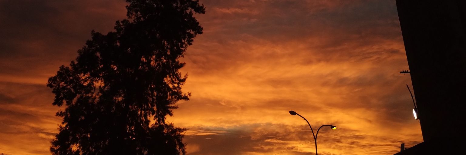 __valval_'s profile banner image