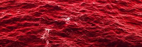 jboydy0's profile banner image