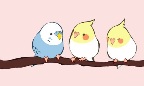 pug_lover17's profile banner image