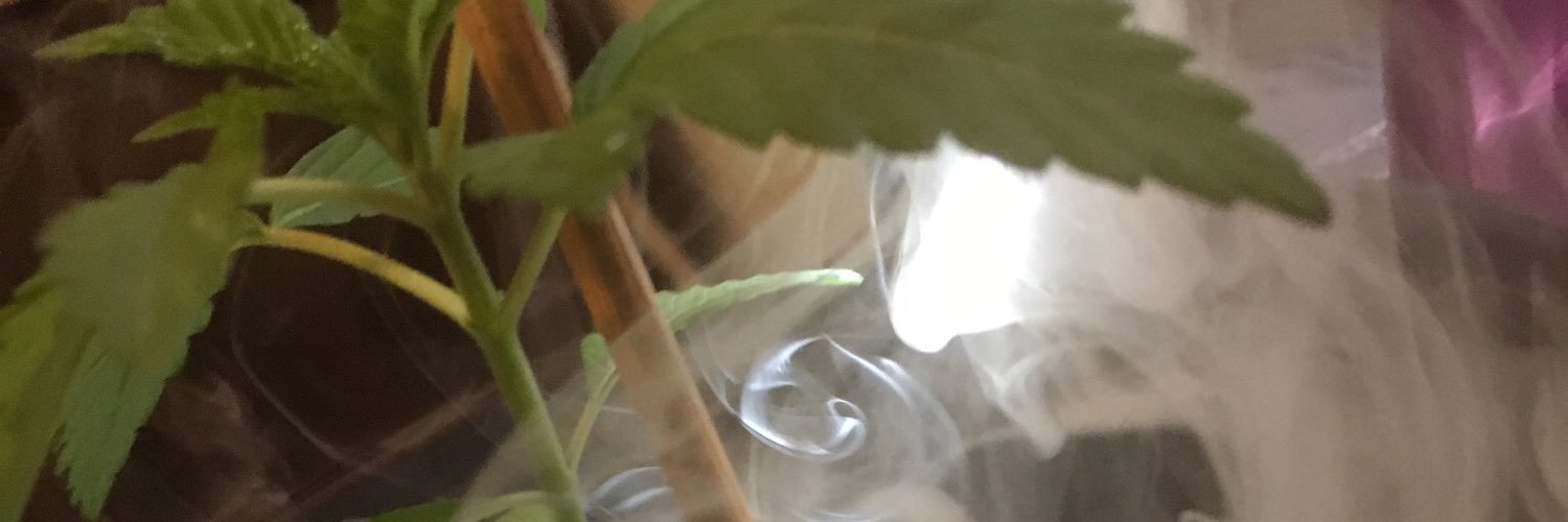 daniiel59's profile banner image