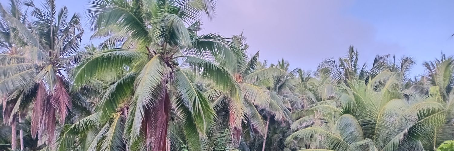 BalearicsT's profile banner image