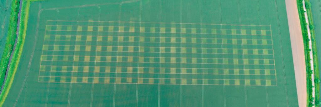 Daniel Kindred banner