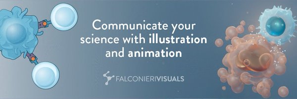 Falconieri Visuals Profile Banner