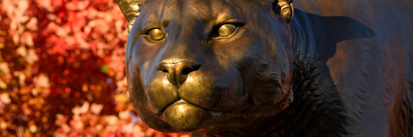 WSU Politics, Philosophy, & Public Affairs banner