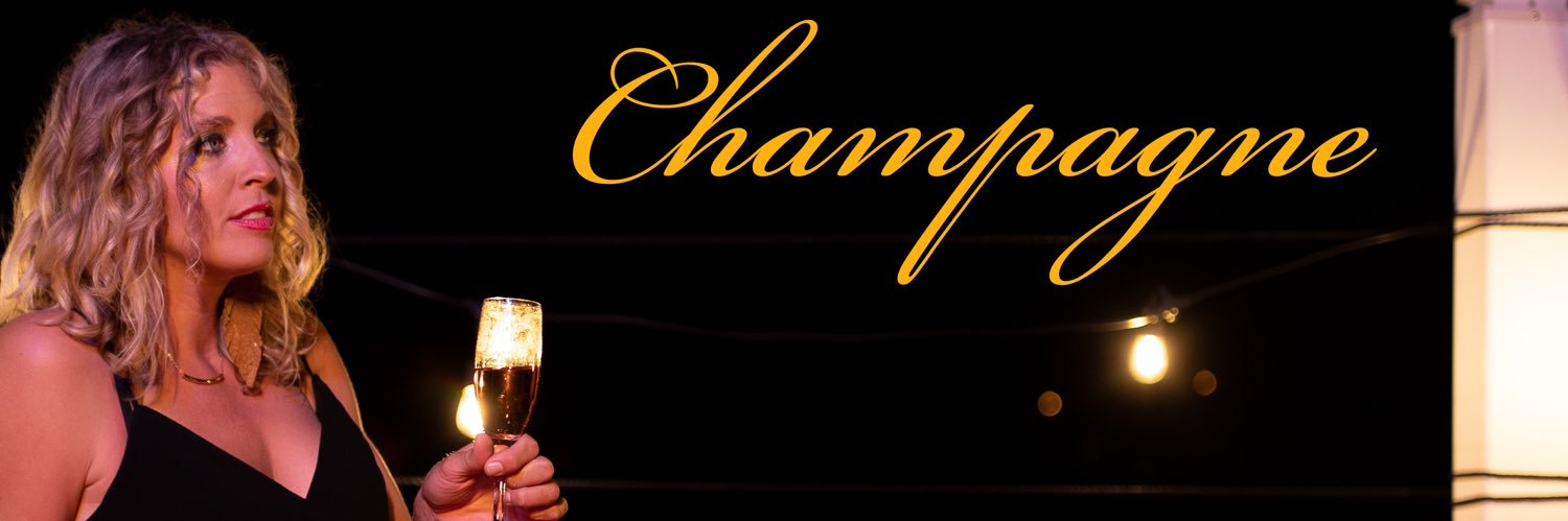 Erica Sunshine Lee banner