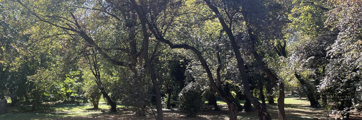 Roch, Rebel Queen banner