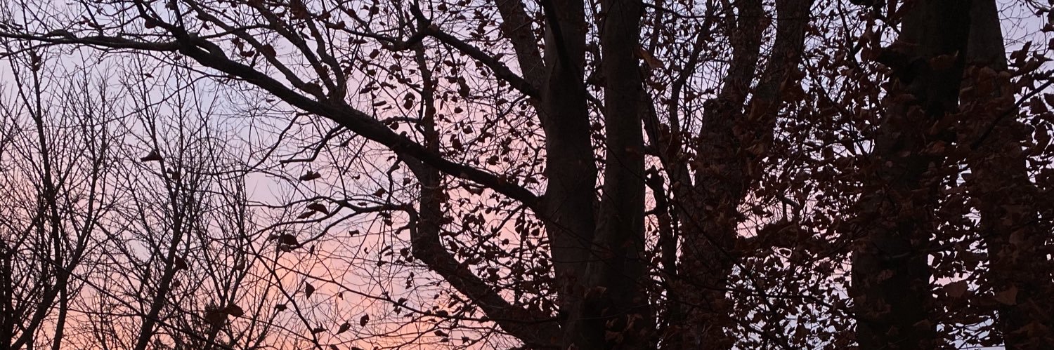 LillyyCarpenter's profile banner image
