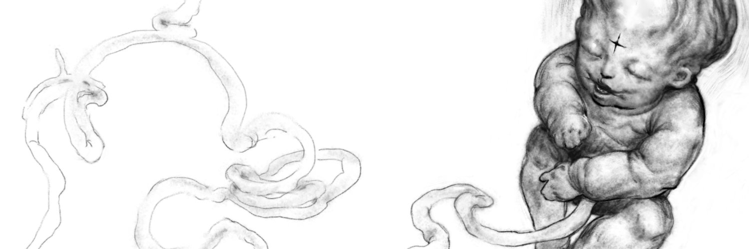 obridliy's profile banner image