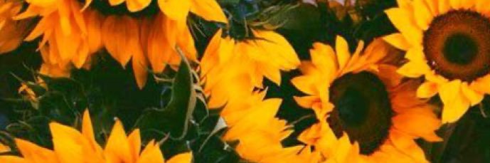ChelciJ's profile banner image