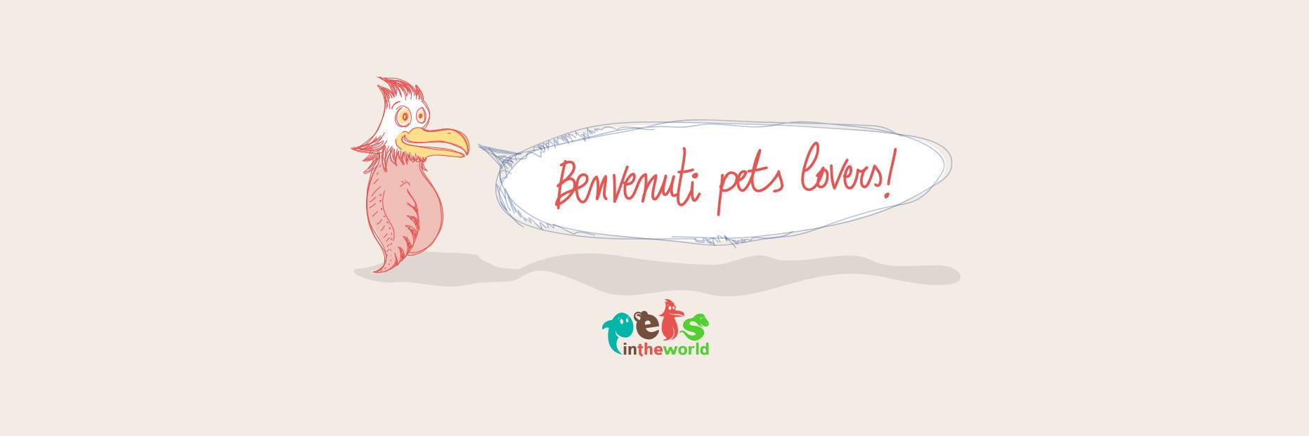 petsintheworld's profile banner image