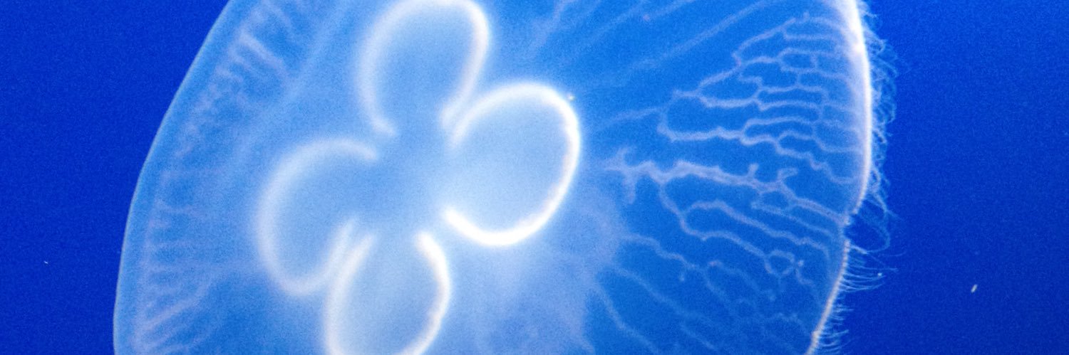 yykkuu's profile banner image