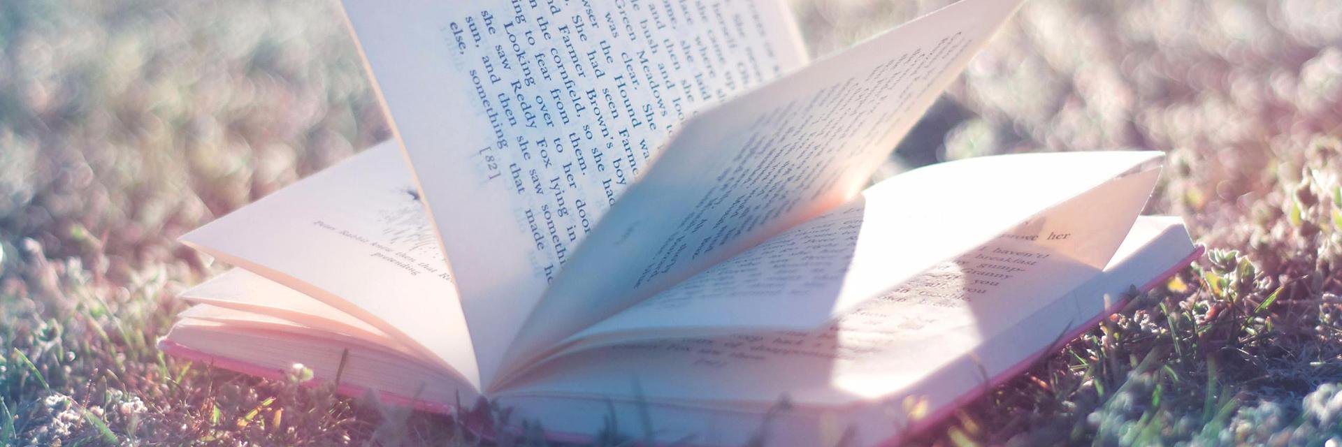 ProverbeDuJour_'s profile banner image