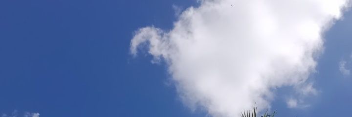 KamilyAzeevedo's profile banner image